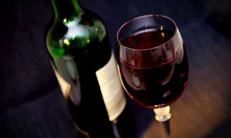 Image Showing Red Wine Bottle with Glass